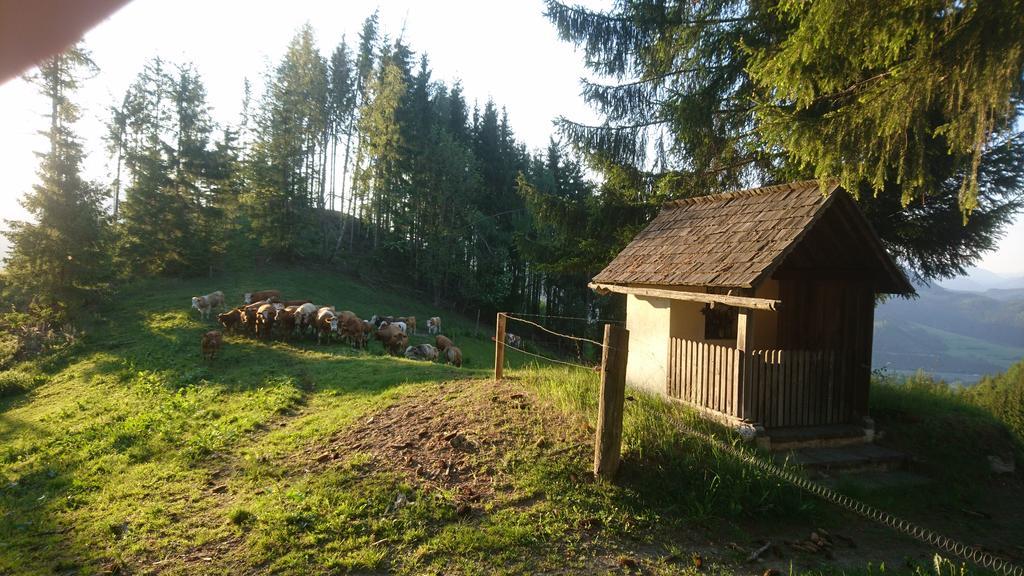 Апартаменты Bio-Peisingerhof Sankt Stefan ob Leoben Экстерьер фото